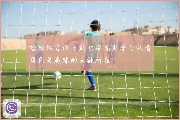 哈珀坦言向卡斯尔福克斯学习认清角色是赢球的关键所在